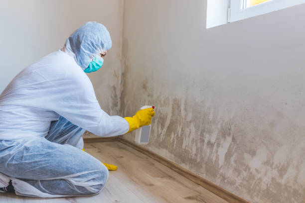 Crawl Space Mold Remediation treatment of floor joists in Nanjemoy
