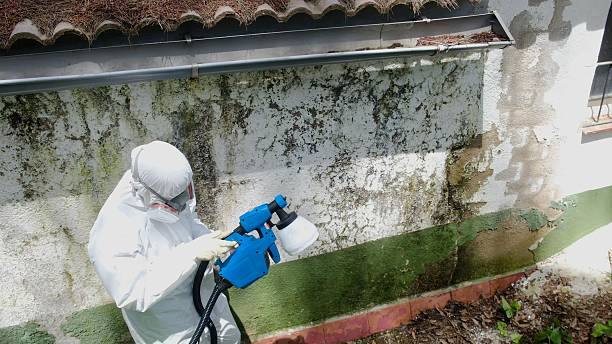 Clearance testing in Nanjemoy